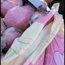 中秋王苹果有要的联系我