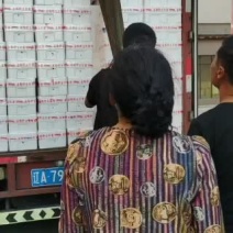 盘锦稻田河蟹大量下需要联系，保证质量规格