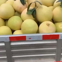 红心柚，三红柚当季热销