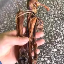 狗鞭狗鞭新货上市批发零售