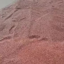 酸枣仁，含量达标酸枣仁，国产酸枣仁，炒酸枣仁，中药材批发