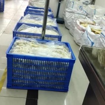 鱼翅批发全国发货！！！