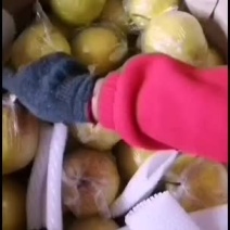 雪花梨涨价了，数量不多啦！！！