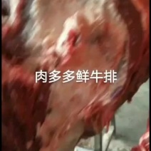【国产多肉鲜牛排】质量高纯干，每天屠宰鲜货