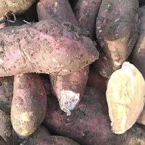 红薯西瓜红三两以上光滑无虫眼