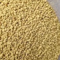 花粉养蜂包邮喂蜂花粉饲料中蜂专用花粉天然杂粉颗粒蜜蜂油菜