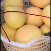 沙田柚蜜甜爽口产地直发一件代发可物流快递包邮