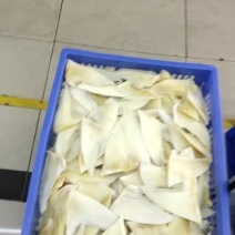 鱼翅批发行！！！！！