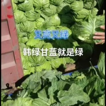 精品甘蓝精品中精品颜色真绿
