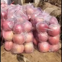 纸加膜高次膜袋高次