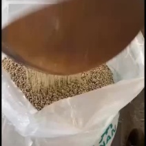 香料水洗胡焦欢迎选购