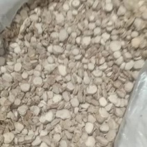 山奈沙姜砂姜粉三奈干沙姜炖肉