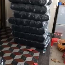 2025年当季头水无沙紫菜，新鲜当季紫菜批发