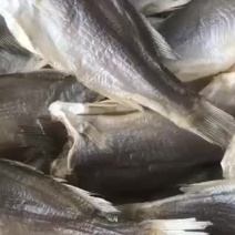 鲈鱼深海鲈鱼干小鱼干干鱼海产品干货淡水鲈鱼干卢肉大鲈鱼
