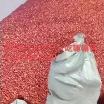 一级海棠干产地常年批发