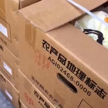 正宗玉环文旦柚果爸果妈基地直发