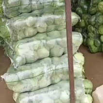 精品甘蓝物美价廉价格便宜