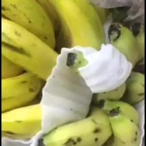 新到货感谢新老顾客订购