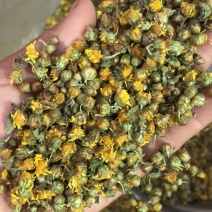野生菊花生晒菊花今年新货菊花茶大量批发