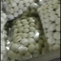 包装清水去皮去壳鹌鹑蛋