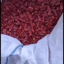 辣椒段，品种齐全，全部一等椒剪的