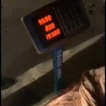 巨青记录保持者，批发零售运输！