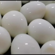 去皮鹌鹑蛋蛋鹌鹑蛋鹌鹑蛋