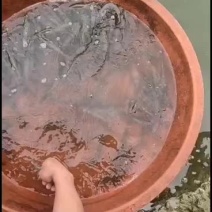 虾：三十头，二十头，