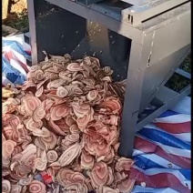 各种山货药材都有看好下单单价可谈