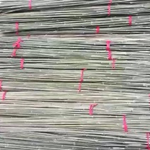小竹竿菜架杆西红柿价格茄子架杆山药杆豆角架杆