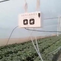 不降低温