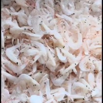 长年批发各种干货海产品，虾皮，海米，鳞虾，鱼类，饵料