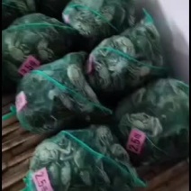 无为精品红膏大闸蟹螃蟹类