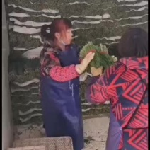 精品韭菜到货需要了联系