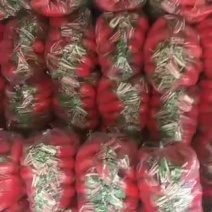 紅皮萝卜大量有货合作一次，终生朋友。