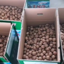 电商对接平台抖音直播带货新疆阿克苏185纸皮核桃诚信经