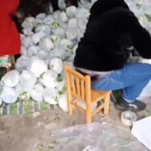 白花菜（加包装加人工费）