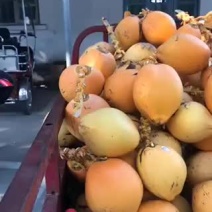 三亚本地金椰水皮薄水甜