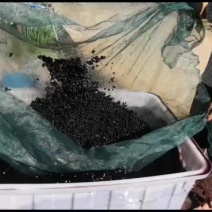 人工水洗，太阳晾晒，高质量桑葚干