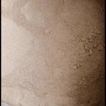 广西当归粉无硫新鲜当归粉超细粉中药材全当归头片粉今年新货