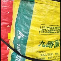 济南市商河县太空椒大量上市。
