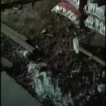 马上备年货了33核桃幸福核桃
