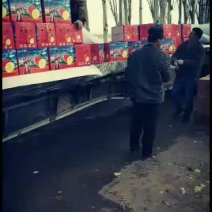 海量批发阿克苏苹果次果