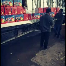 海量批发阿克苏苹果次果