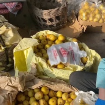 酸梨。蓟县特产。精品细皮小酸