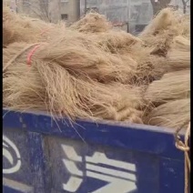 自己家的纯红薯粉丝，没有代办费
