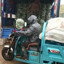 各种蔬菜，如有需要请与我联系