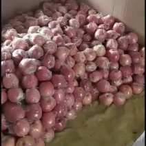 陕西红富士纸加膜苹果，个头大，颜色全红，亮度好