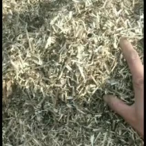 常年出售二级黄白黄白青小草