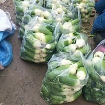 各种蔬菜，需要的请与我联系